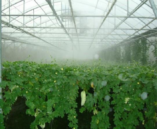Large Greenhouse Humidifier